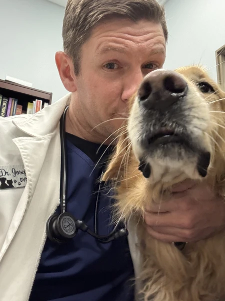 Dr.  Reno, DVM